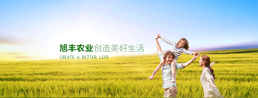 智能水肥一体机,水肥一体化实施方案,水肥一体化滴灌设备.png