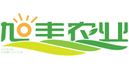 水肥一体化实施方案